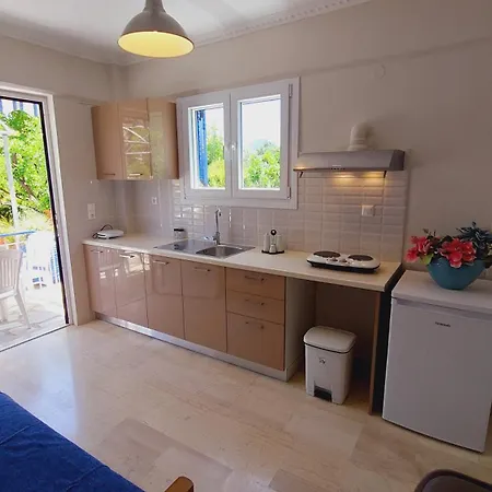 Emilios Eleni شقة فندقية نيدري